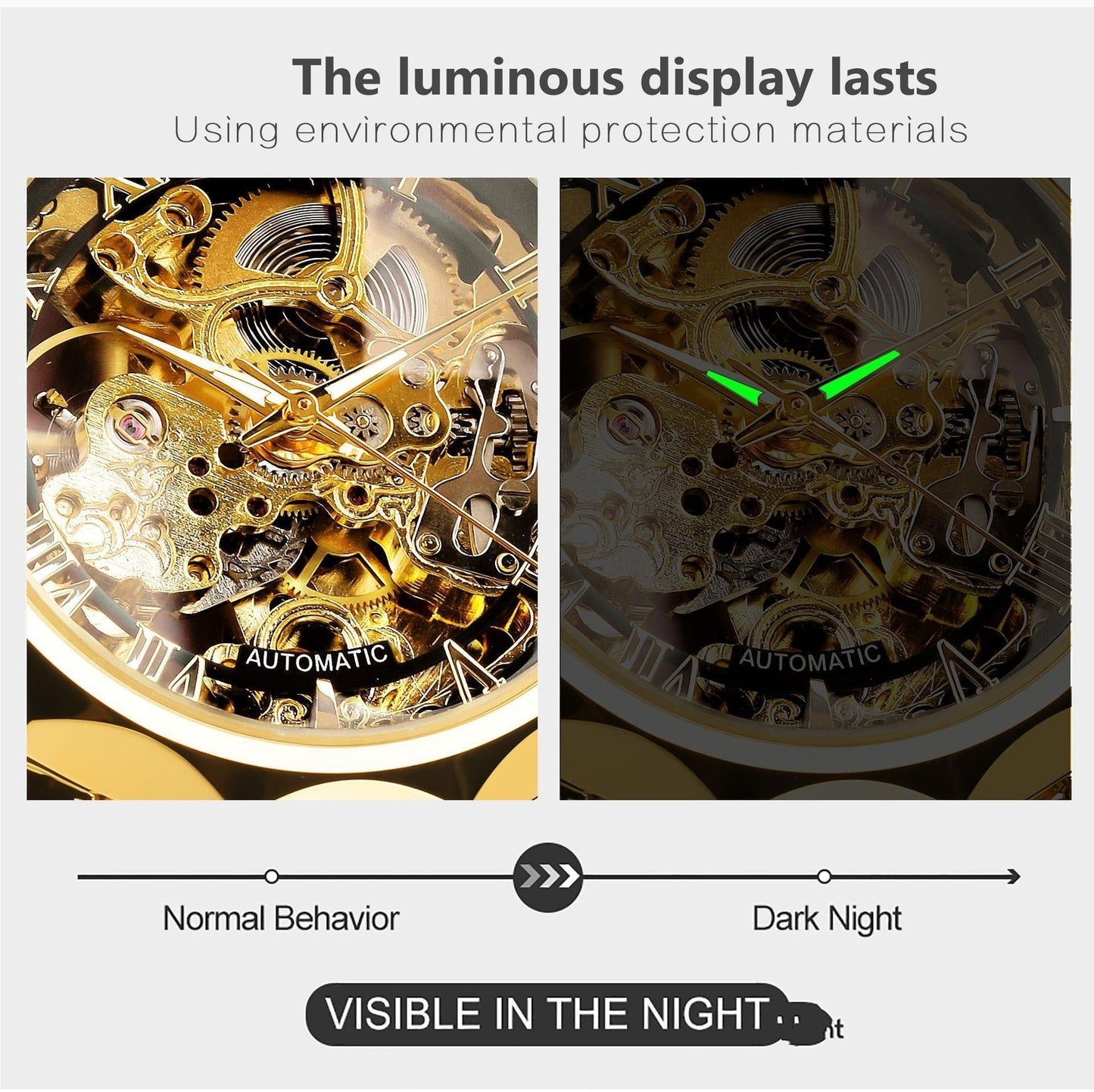 Retro Luxury Men's Automatic Mechanical Watch
