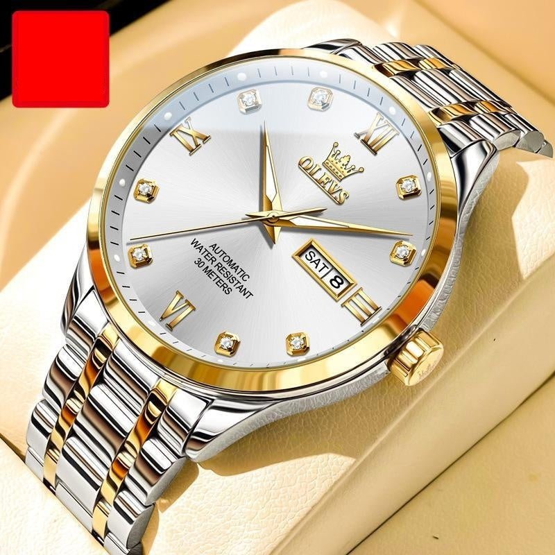 Waterproof Automatic Mechanical Men's Watch