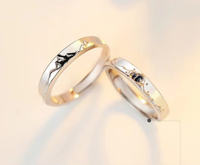 Fashion Platinum-Plated Couple Rings