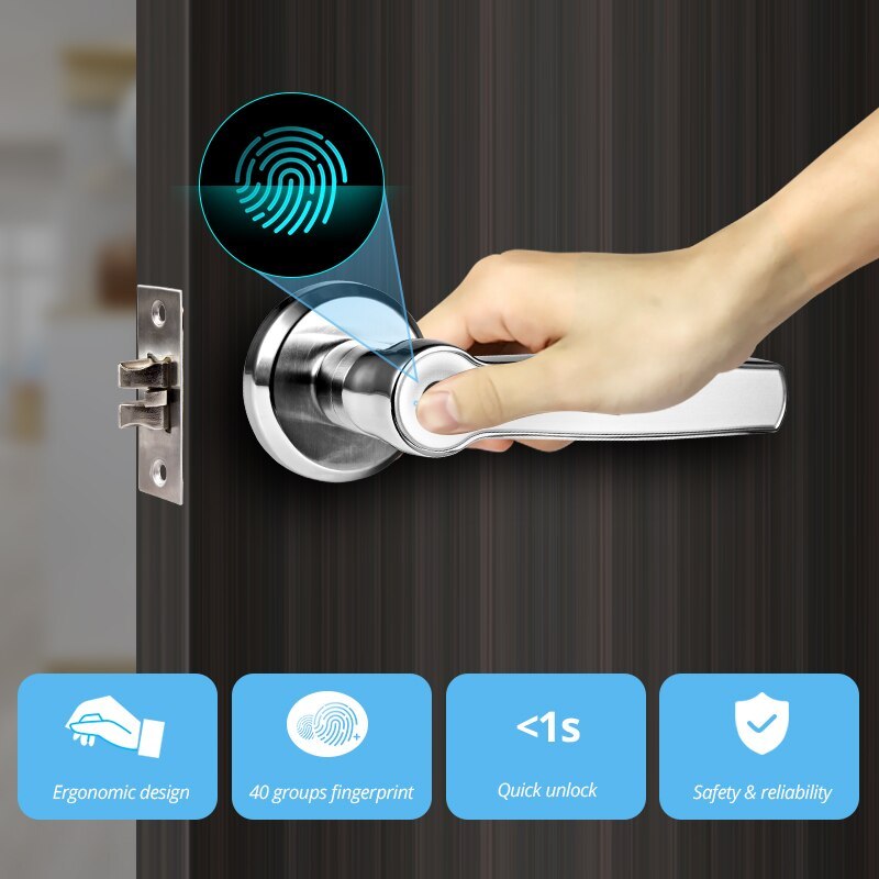 Zinc Alloy Indoor Fingerprint Handle Lock