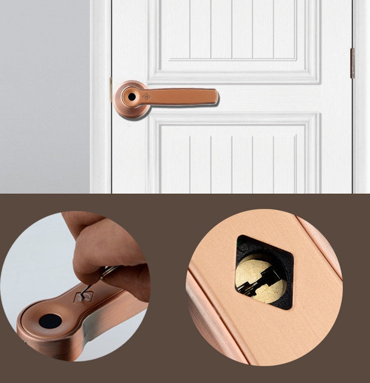 Zinc Alloy Indoor Fingerprint Handle Lock
