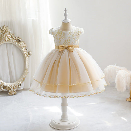 Girls' Embroidered Mesh Princess Dress